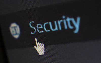 Developing A Profitable Business In The Digital Security Industry